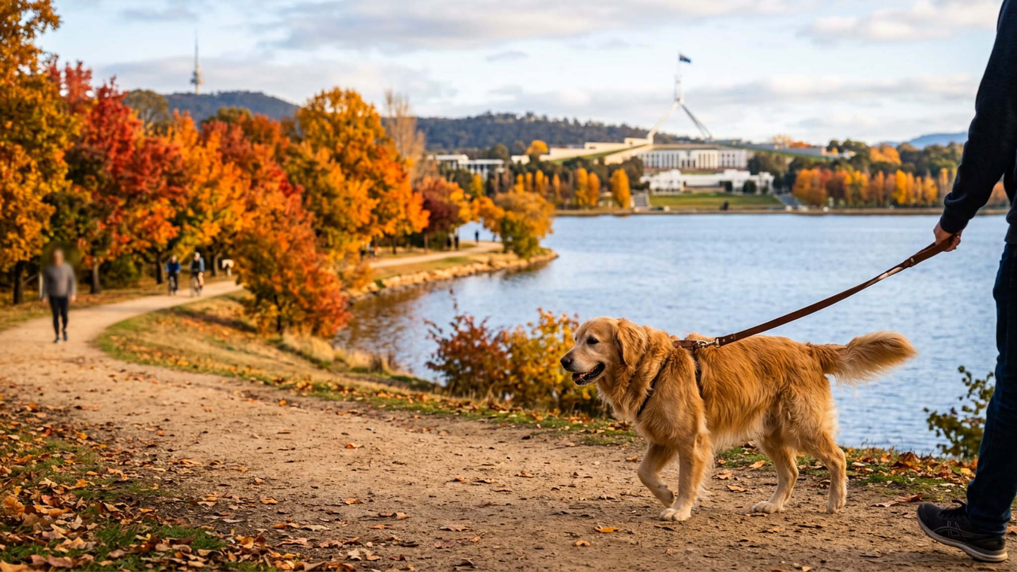Dog walking along a lakeside path with autumn trees near Lake Burley Griffin in Canberra