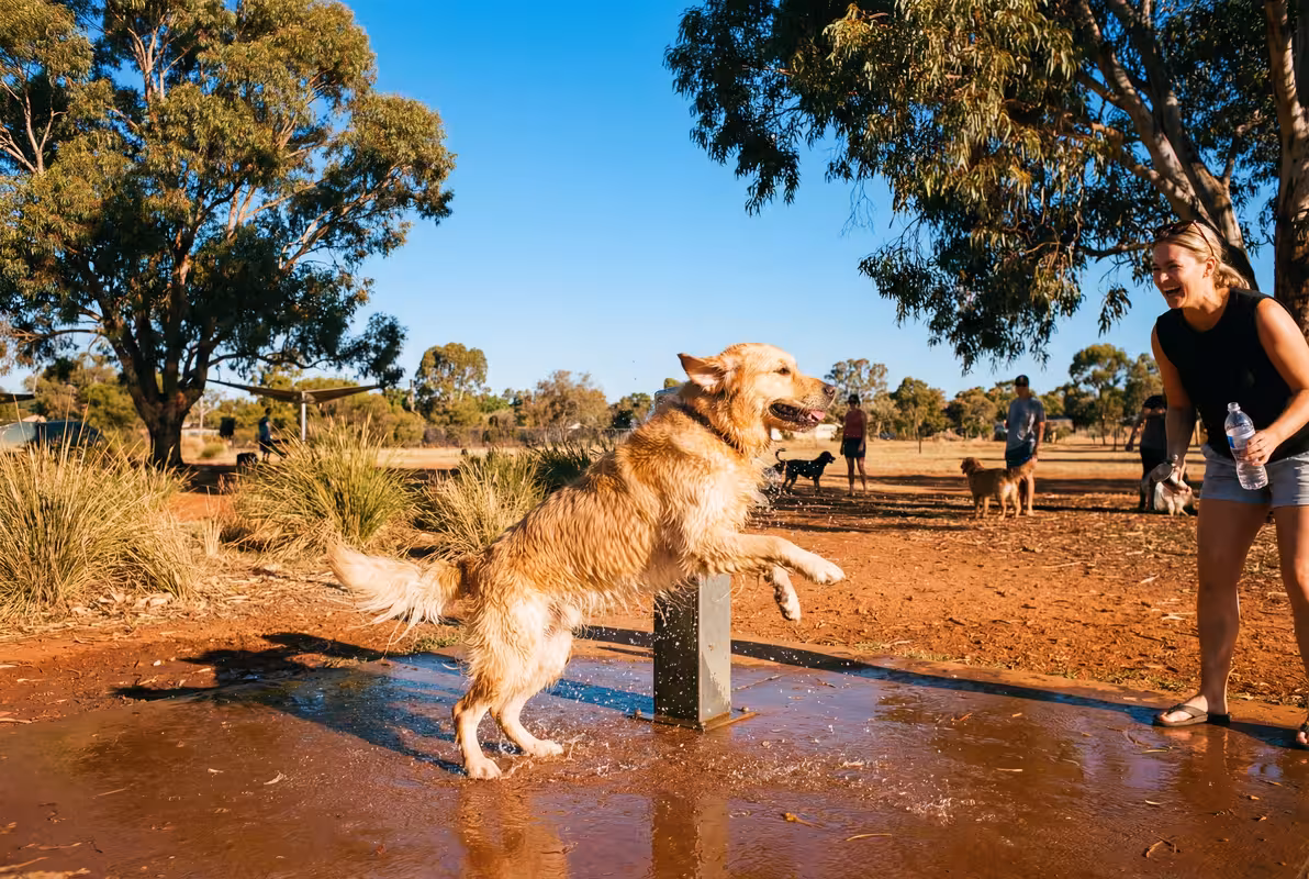 Happy dog splashing and cooling off in a water fountain at an Australian dog park on a summer day