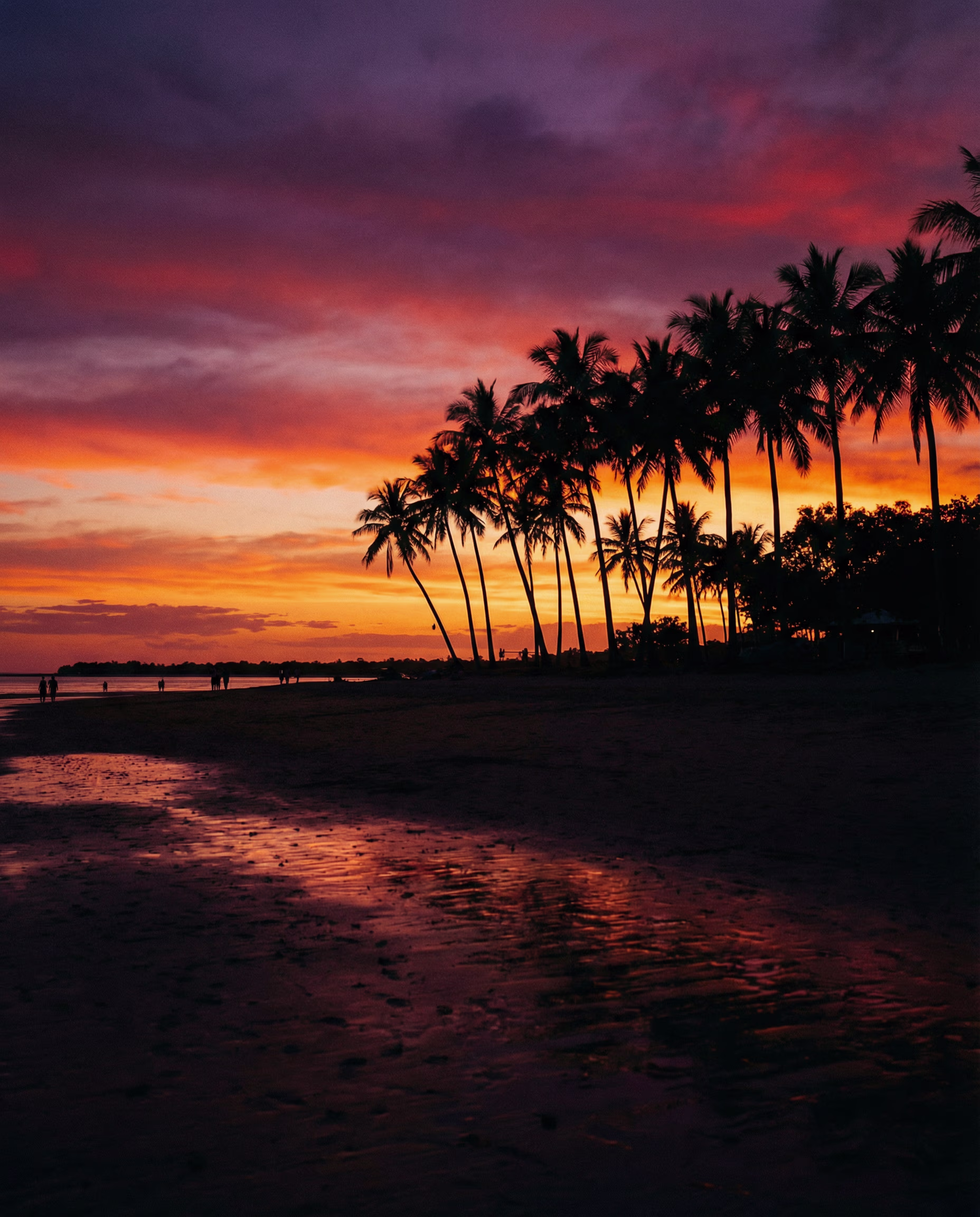 Dog parks in Darwin, Northern Territory